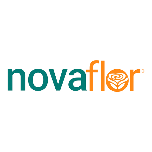 Nova Flor