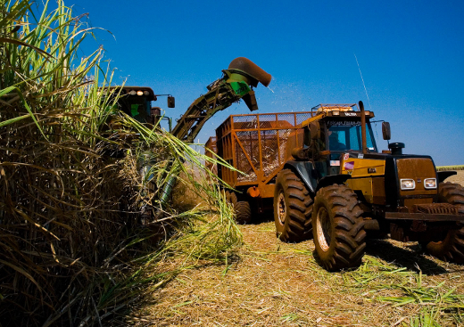 A falta de visão de futuro do Brasil