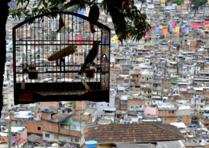 Os retirantes das favelas 