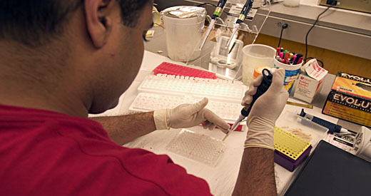 Tratamentos evoluem em busca de menos toxidade