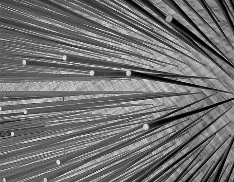 O risco das agulhas nas mãos erradas 