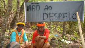 As próximas Raposas Serra do Sol