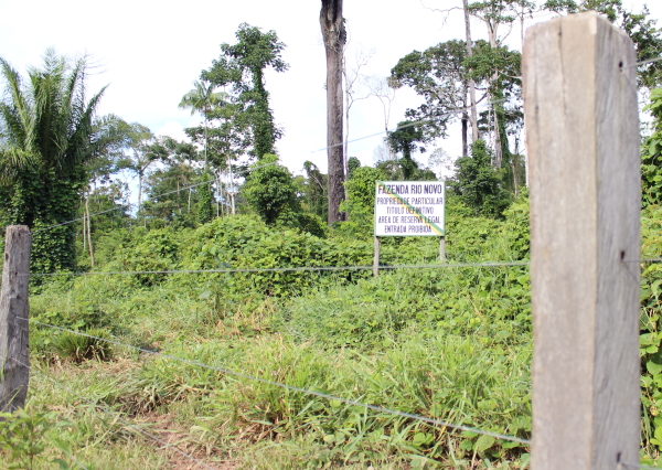 O fazendeiro e o político