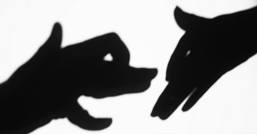 História de cachorro