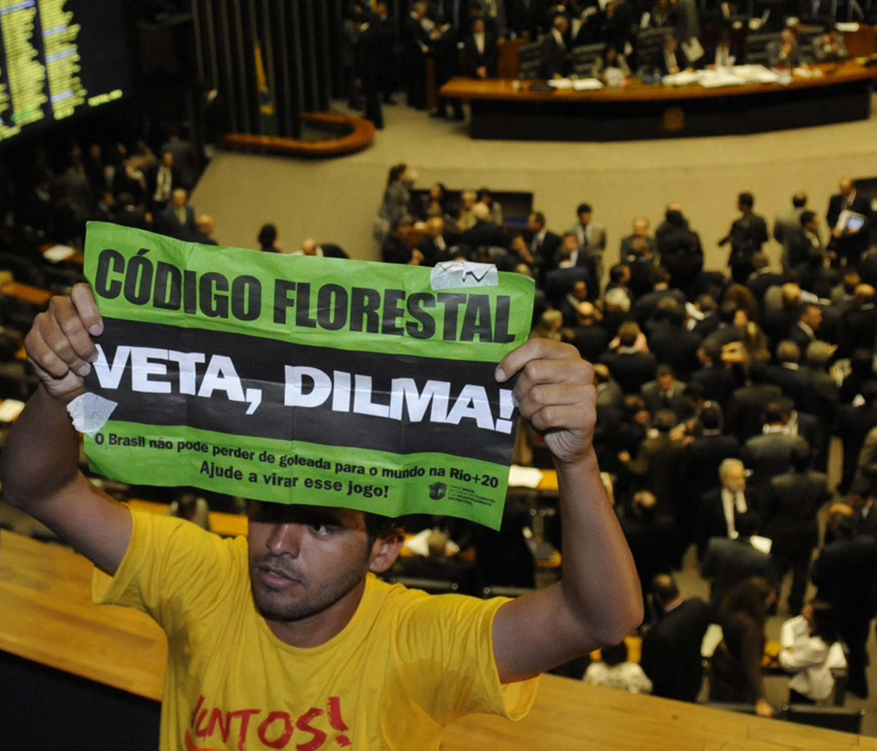 Veta Dilma, veta