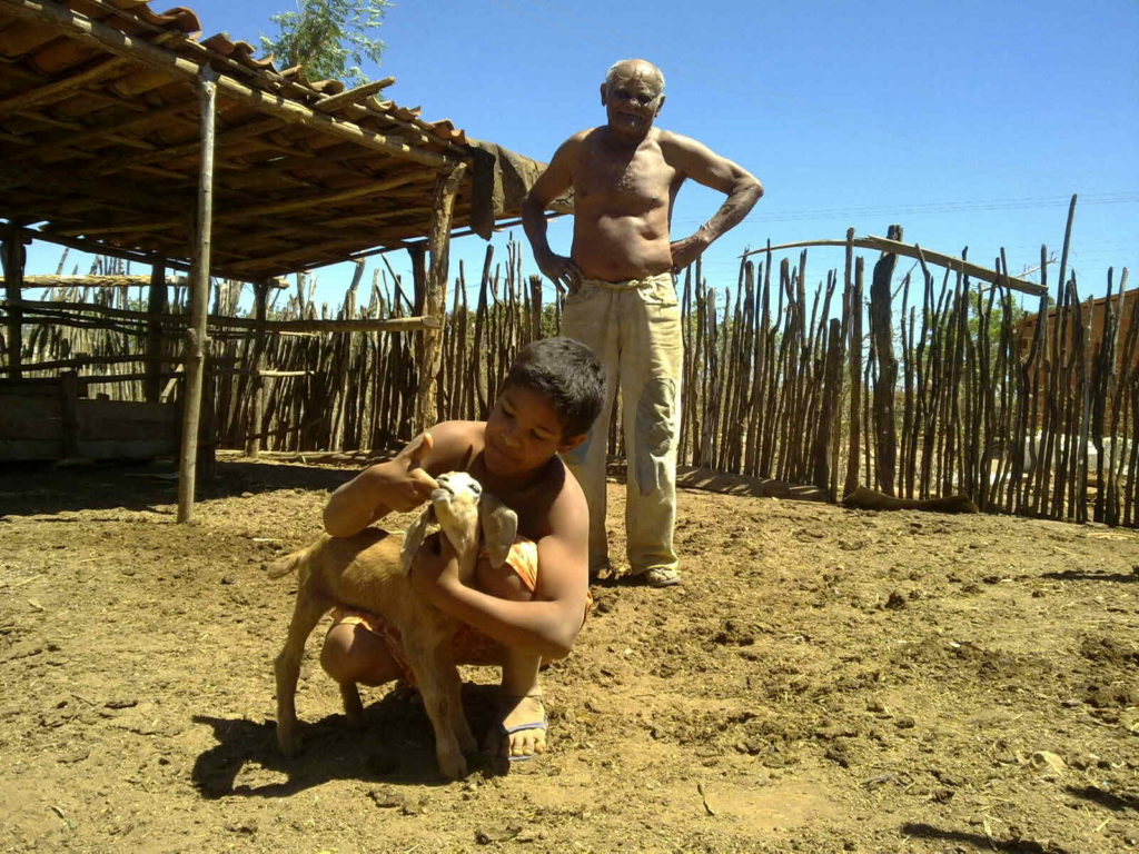 Cabra marcado para resistir