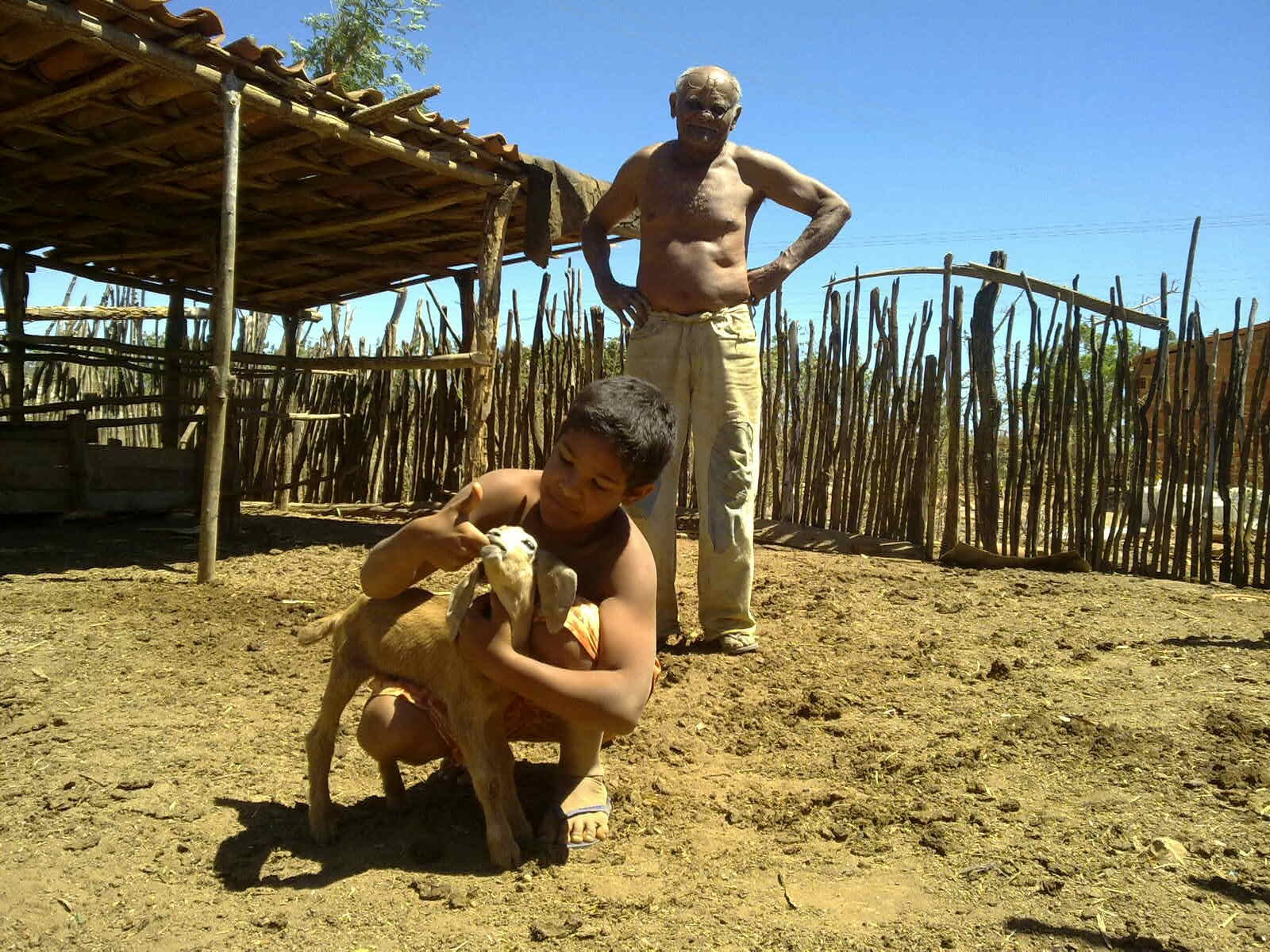 Cabra marcado para resistir