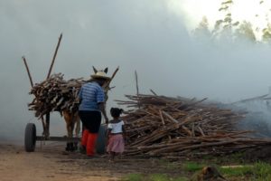 Brasil tem mais de 4 milhões de crianças e adolescentes trabalhando