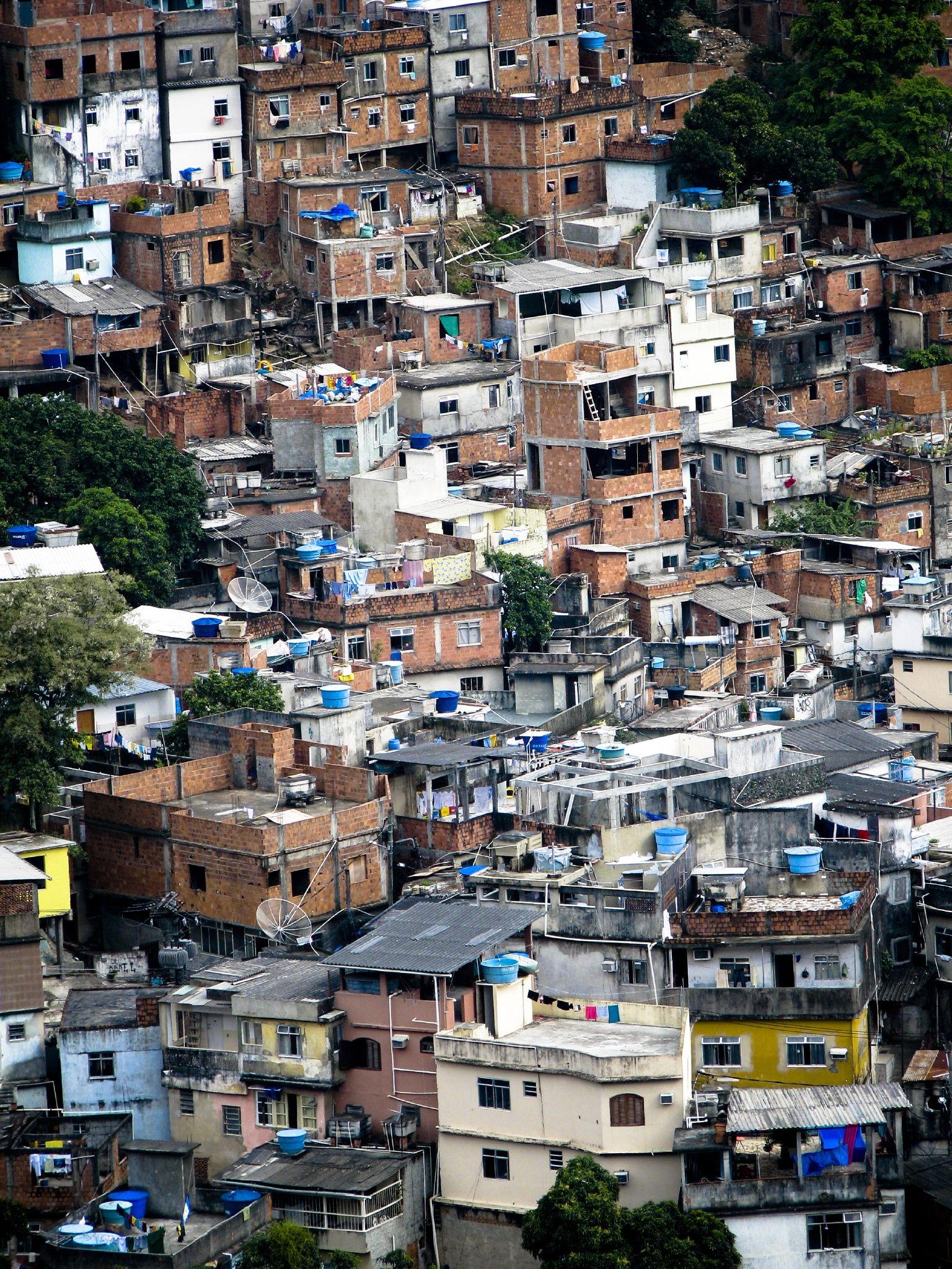 ‘O governo deu crédito, mas não ensinou como usá-lo’