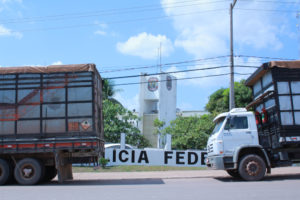 Repressão ao carvão ilegal em Carajás causa onda de ilegalidade na cadeia de produção