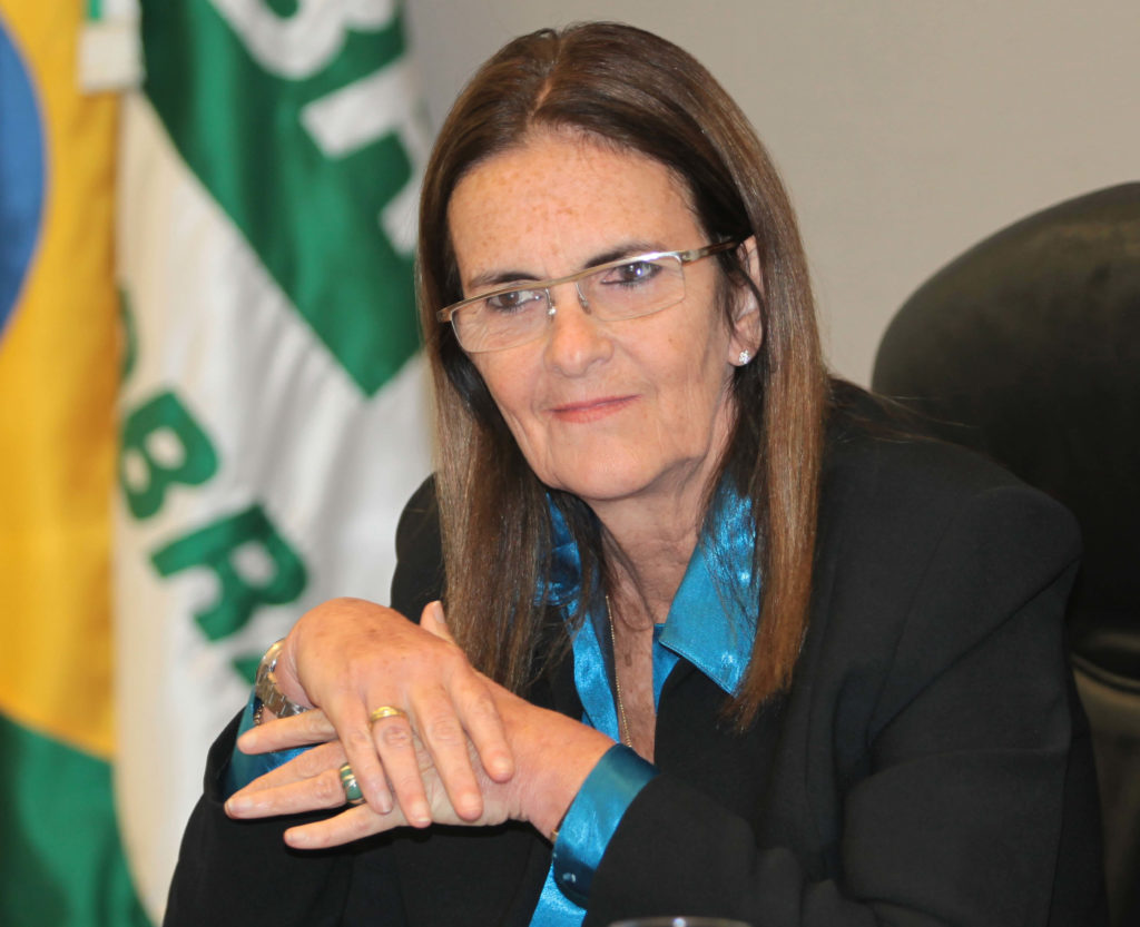 Os efeitos da alta do dólar