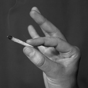 Governo propõe estatizar produção e comércio de maconha