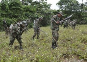 Brasil e Bolívia reforçam cooperação contra narcotráfico