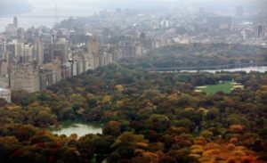 Bilionário doa US$ 100 milhões para o Central Park