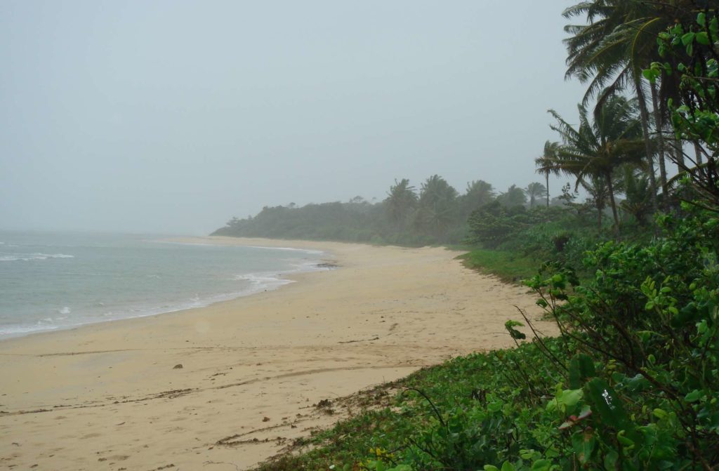 Contra primo de Serra, Justiça devolve ilha da Bahia a moradora