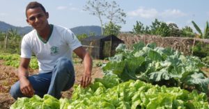Uma nova classe rural