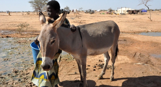 A crise humanitária que ninguém vê