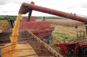 As contradições do campo no Brasil