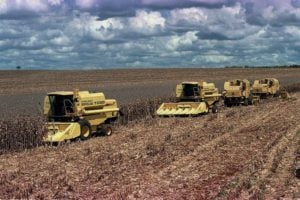 Economia brasileira cresce 0,6% no primeiro trimestre deste ano