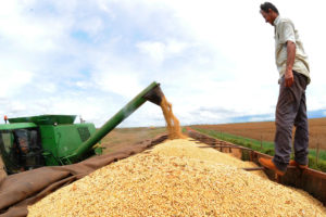 Preconceitos contra a agropecuária