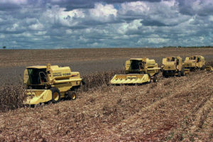 Agricultura insustentável e consumo excessivo deixam a natureza em perigo, alerta ONU