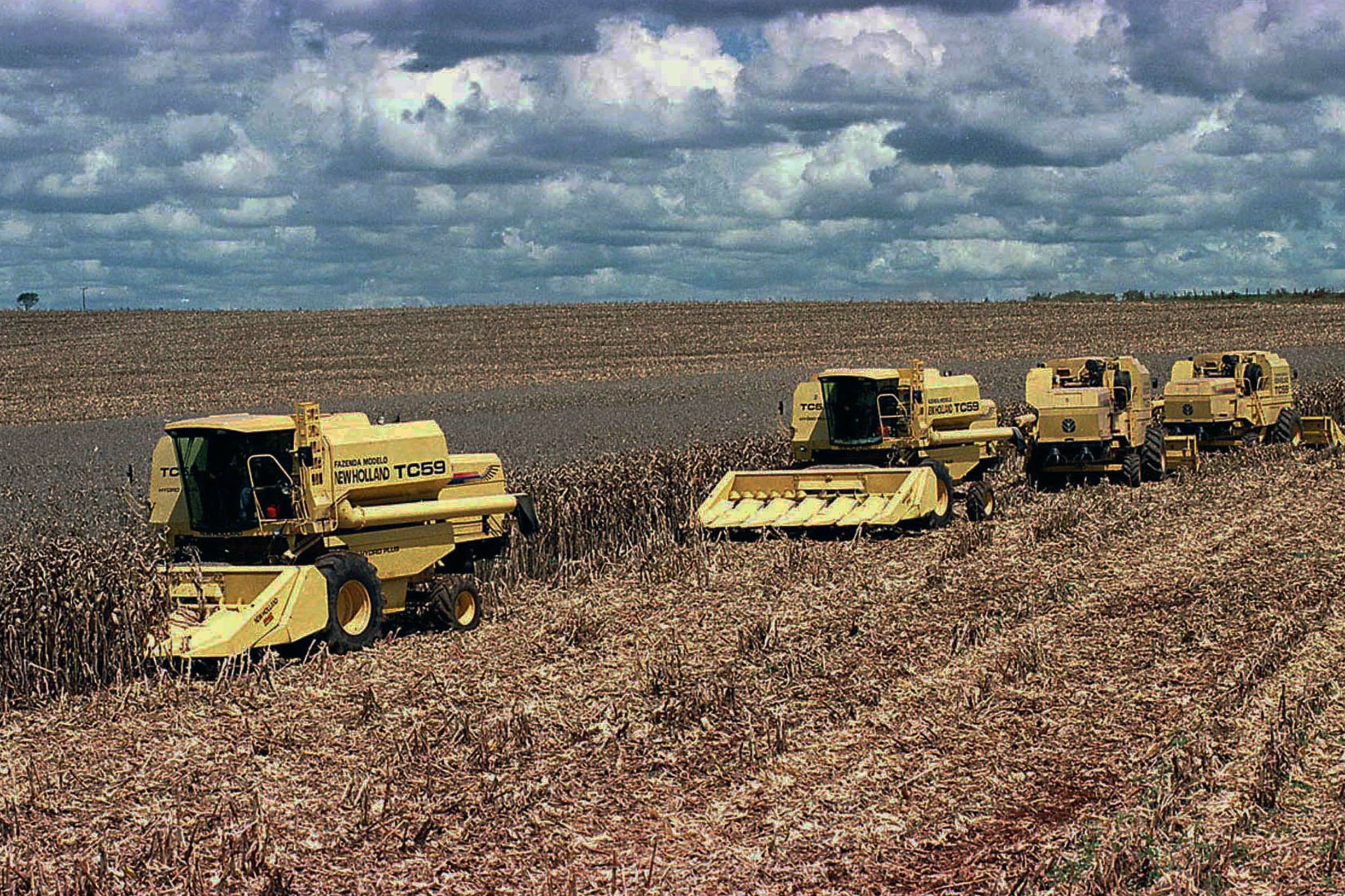 Agricultura insustentável e consumo excessivo deixam a natureza em perigo, alerta ONU