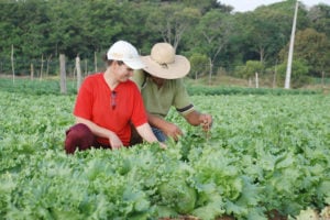 O futuro da agricultura familiar