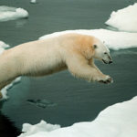 Previsão de aumento de temperatura do planeta quase dobra, diz relatório da ONU