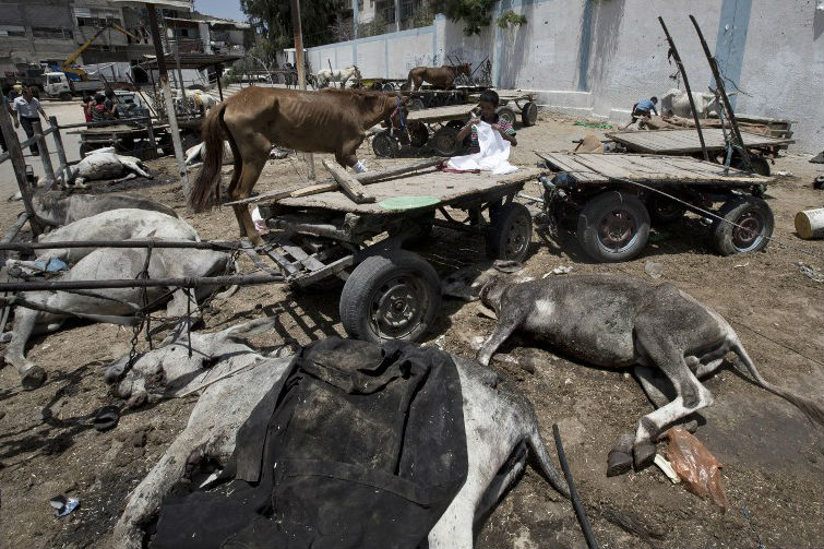 ONU acusa Israel por ataque a escola na Faixa de Gaza