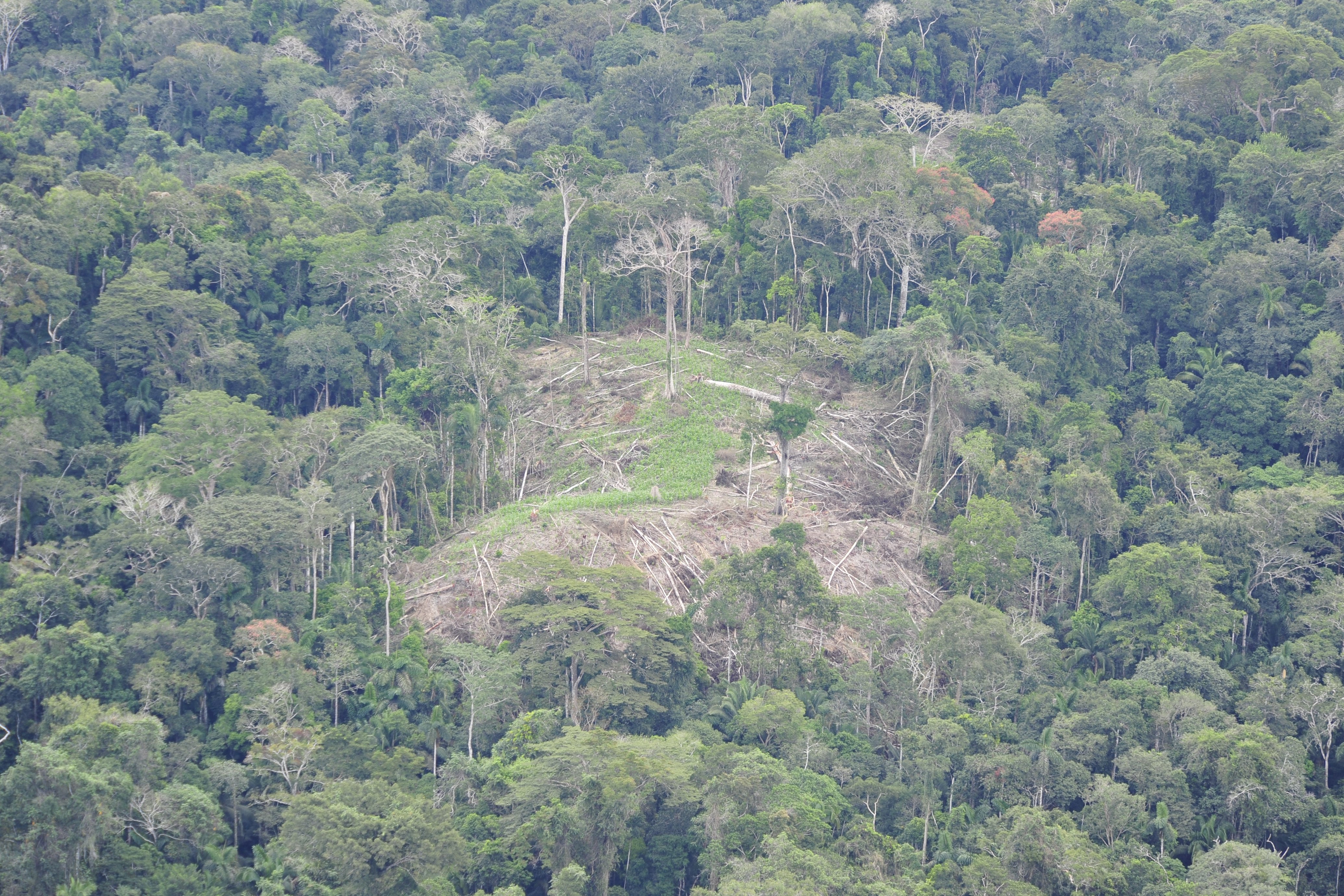 Índios Ashaninka fazem contato com tribo desconhecida no Acre