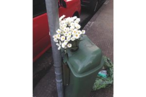 Pra não dizer que não falei de flores