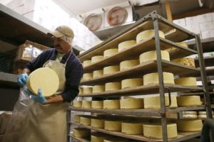 Rússia proíbe importação de alimentos da Europa e EUA