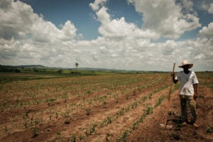 A reforma agrária aconteceu?