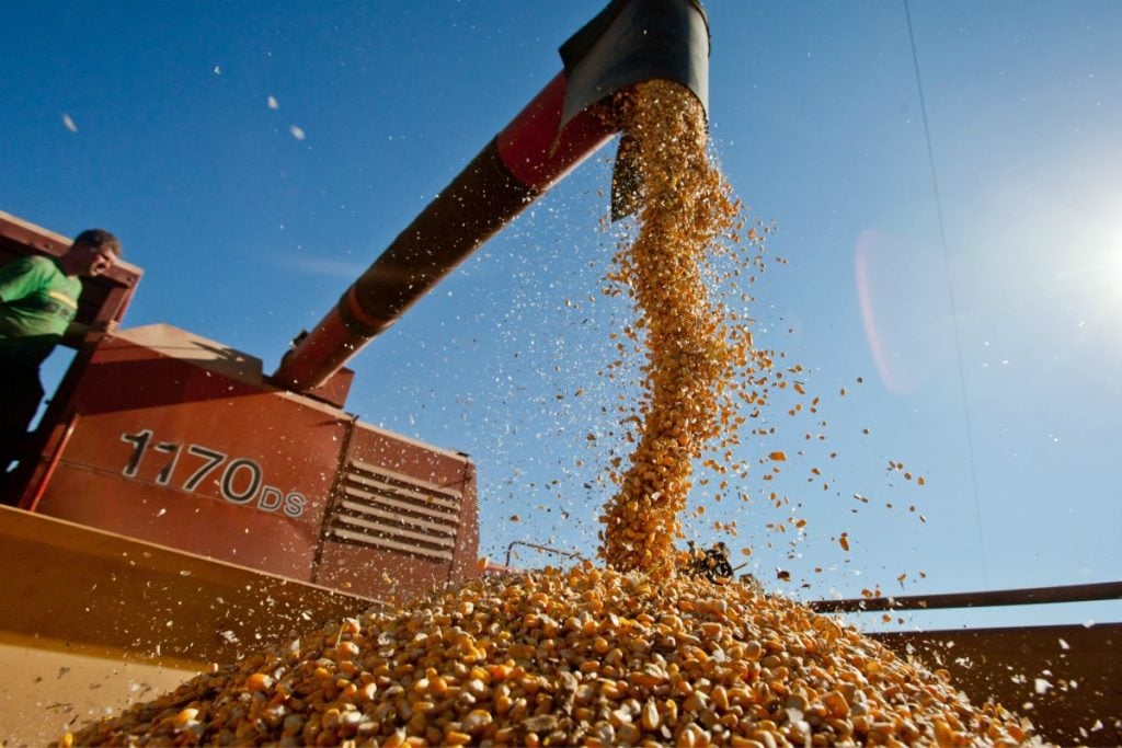A pequena participação dos produtos agropecuários no comércio mundial