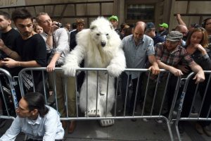 A Cop 20 é crucial para um acordo climático global