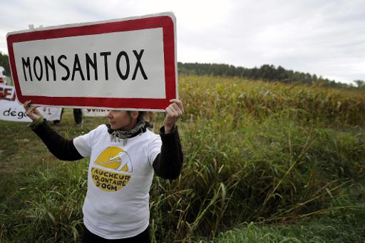 Pequena cidade argentina enfrenta a gigante Monsanto
