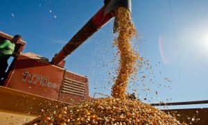 O agronegócio também alimenta a esquerda