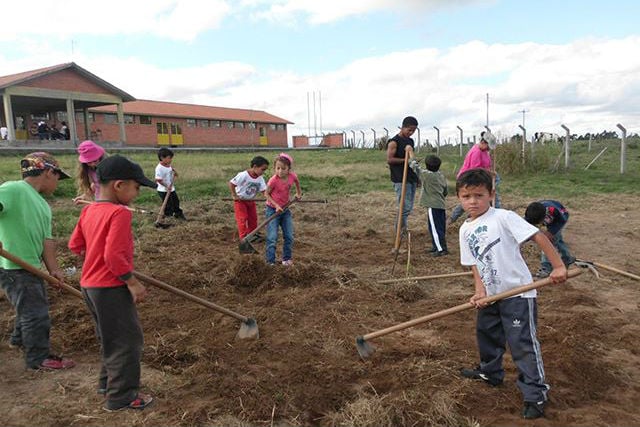 Agricultura familiar não é o mesmo que assentamento sem terra