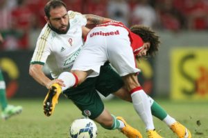 Palmeiras de pai para filho