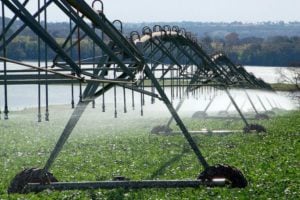 Consultoria britânica defende juros mais altos ao agronegócio