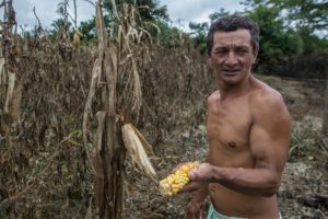 Lucro fácil sobre quem produz e trabalha