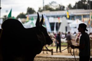 Economia brasileira recua 0,2% no primeiro trimestre