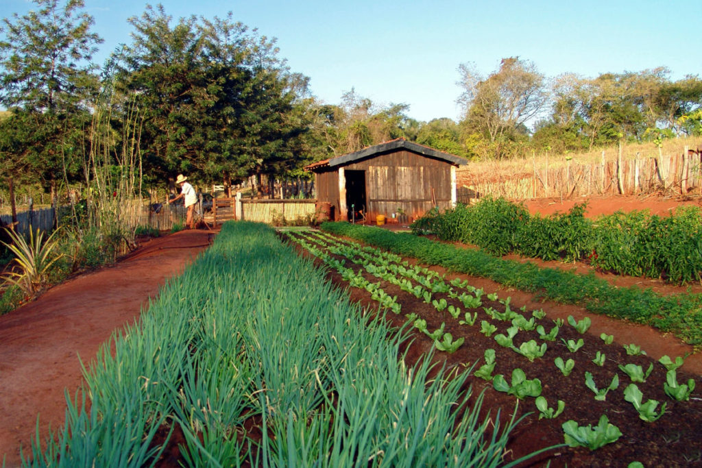 O governo vai mandar a agricultura para aquele lugar?