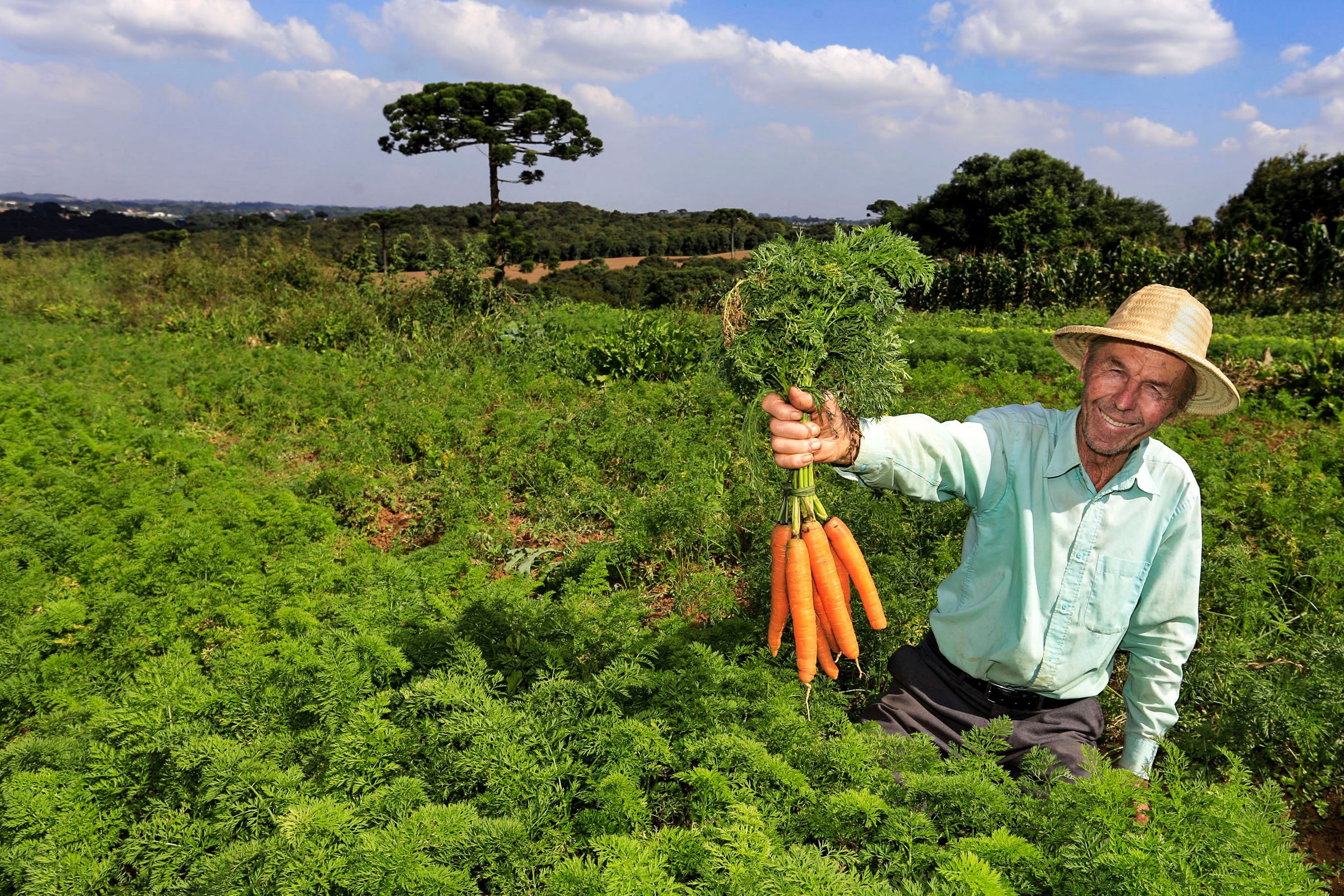 “Você se alimentou hoje? Agradeça ao produtor rural!”