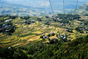 Como a agropecuária vai lidar com as transformações do capitalismo?