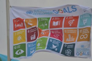 Objetivos de Desenvolvimento Sustentável: um caminho para o futuro?