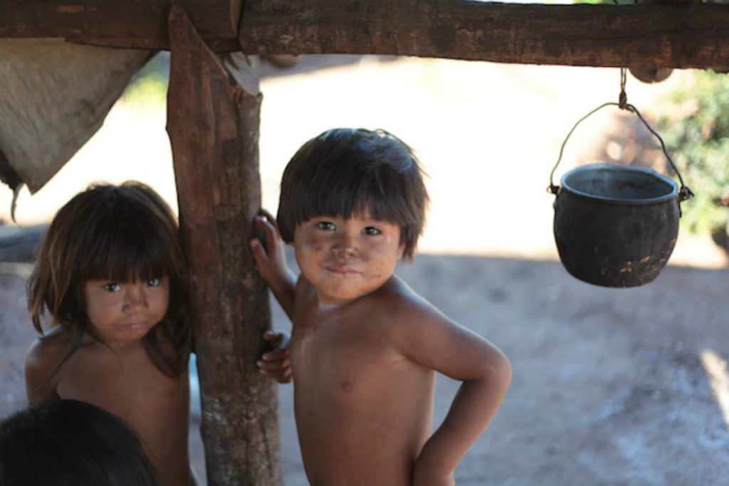 50 anos entre o Xingu e a universidade