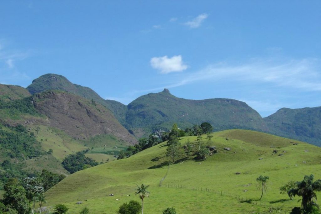 Agro negócio de verdade