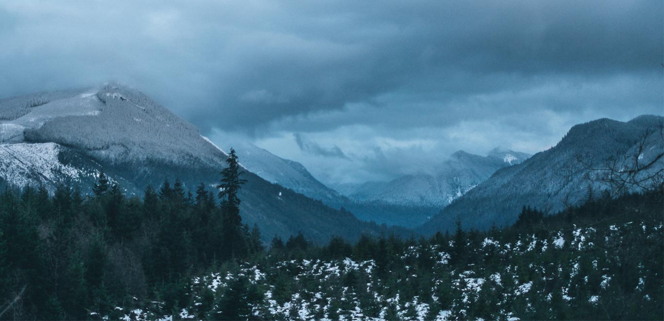 Hiking through The Yosemite National Park