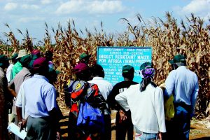 América Latina e a expansão do sistema agroalimentar corporativo